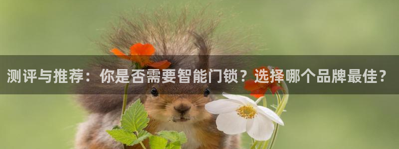 开丰娱乐登录地址入口：测评与推荐：你是否需要智能门锁？选择哪