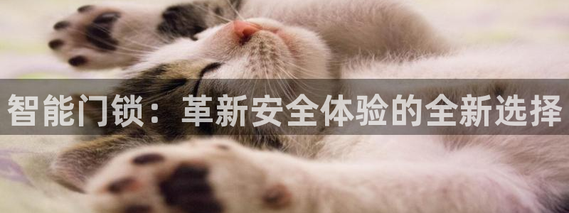 开丰娱乐更多平台：智能门锁：革新安全体验的全新选择