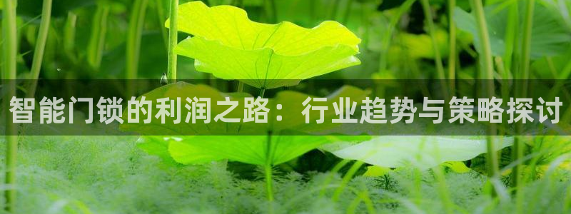 开丰娱乐注册资金多少：智能门锁的利润之路：行业趋势与策略探讨