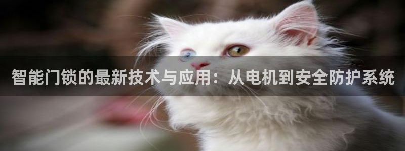开丰娱乐主管家去判官333OO：智能门锁的最新技术与应用：从