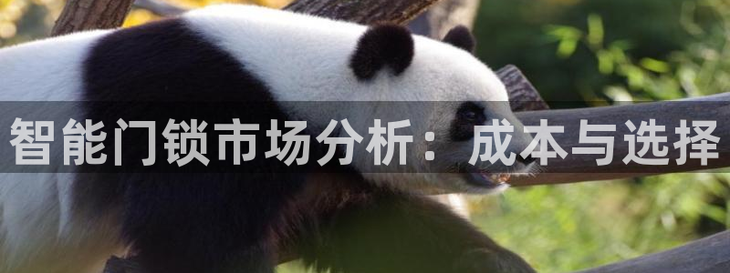 开丰娱乐注册登录：智能门锁市场分析：成本与选择