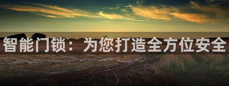 开丰娱乐天7O667：智能门锁：为您打造全方位安全