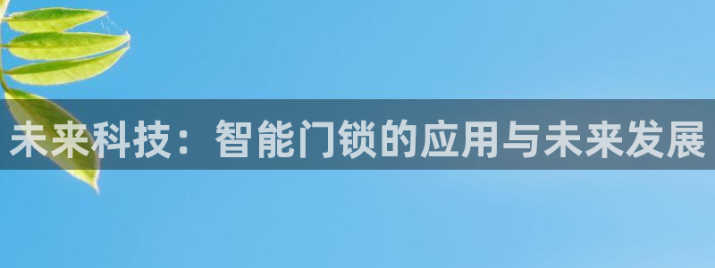 开丰娱乐乙833_43：未来科技：智能门锁的应用与未来发展