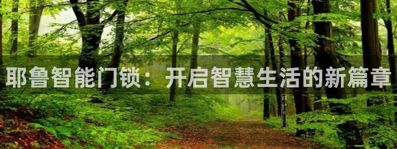 开丰娱乐平台官网登录：耶鲁智能门锁：开启智慧生活的新篇章