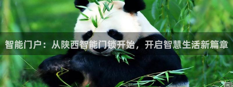 开丰娱乐官网首页：智能门户：从陕西智能门锁开始，开启智慧生活