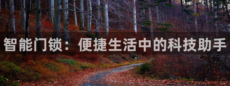 开丰娱乐平台登录：智能门锁：便捷生活中的科技助手