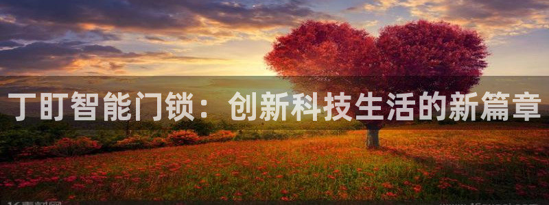 圩丰刚开的娱乐场所：丁盯智能门锁：创新科技生活的新篇章