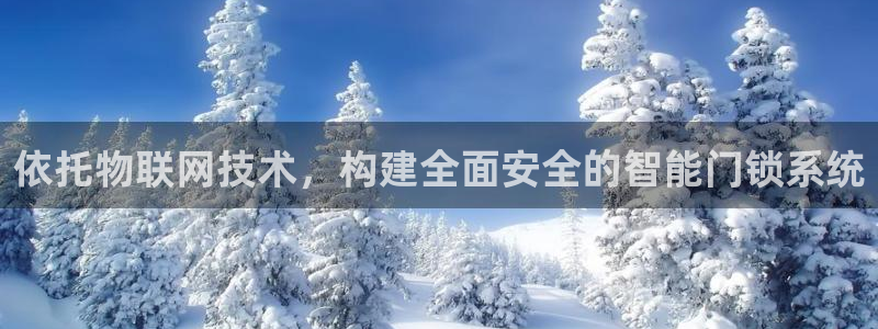 开丰娱乐若七九九：依托物联网技术，构建全面安全的智能门锁系统