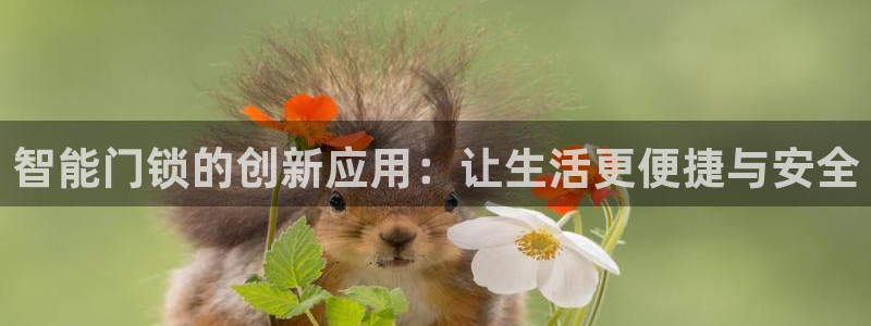开丰娱乐违法吗：智能门锁的创新应用：让生活更便捷与安全