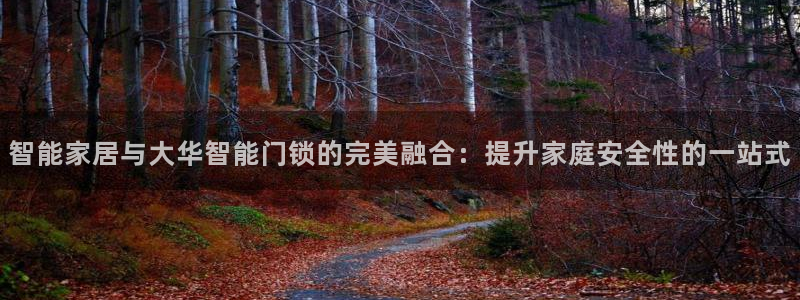 开丰娱乐登入地址查询：智能家居与大华智能门锁的完美融合：提升