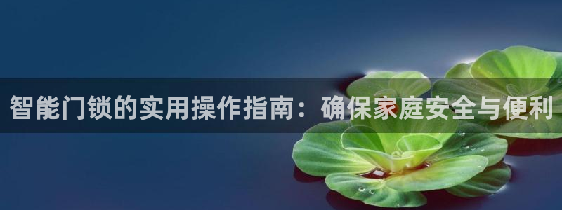 开丰娱乐平台注册时间：智能门锁的实用操作指南：确保家庭安全与