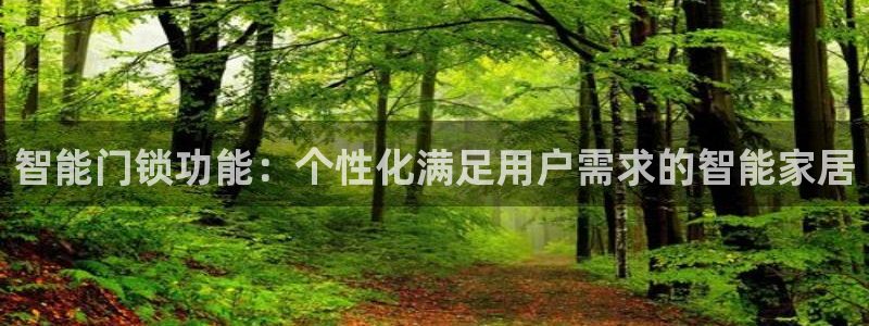 开丰娱乐测速：智能门锁功能：个性化满足用户需求的智能家居