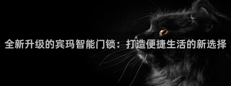开丰娱乐前：全新升级的宾玛智能门锁：打造便捷生活的新选择