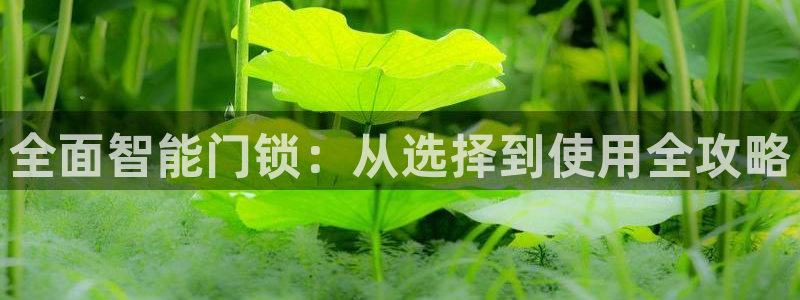 开丰娱乐除7O777：全面智能门锁：从选择到使用全攻略