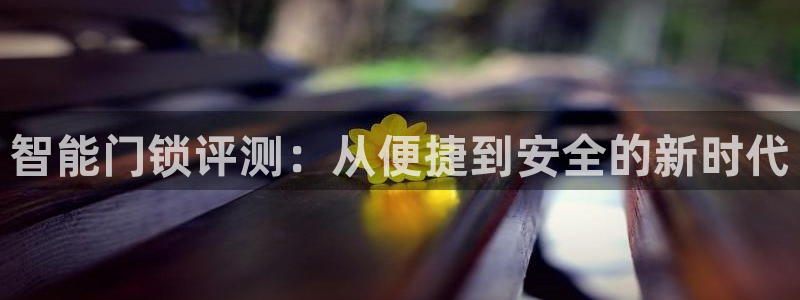 开丰娱乐主管家去判官333OO：智能门锁评测：从便捷到安全的