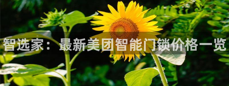 开丰娱乐官网首页：智选家：最新美团智能门锁价格一览