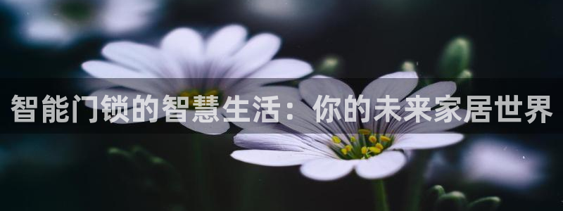 开丰娱乐与六七五一38