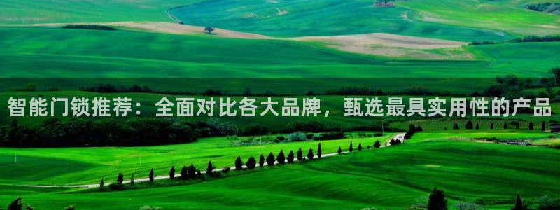 开丰娱乐上：智能门锁推荐：全面对比各大品牌，甄选最具实用性的