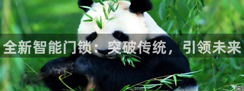 开丰娱乐注册自判官333OO：全新智能门锁：突破传统，引领未