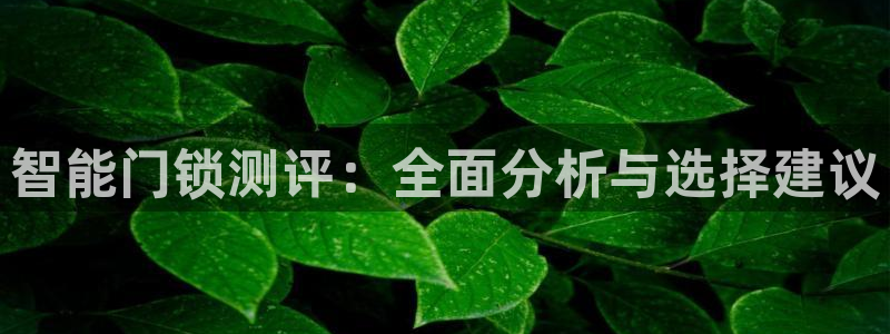 开丰娱乐平台登录网址：智能门锁测评：全面分析与选择建议