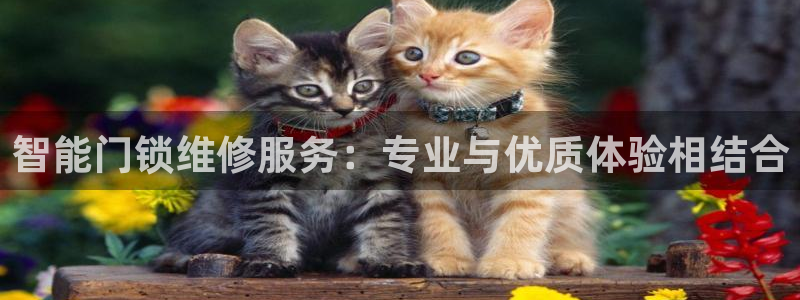 开丰娱乐下：智能门锁维修服务：专业与优质体验相结合