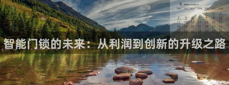 开丰娱乐登入：智能门锁的未来：从利润到创新的升级之路