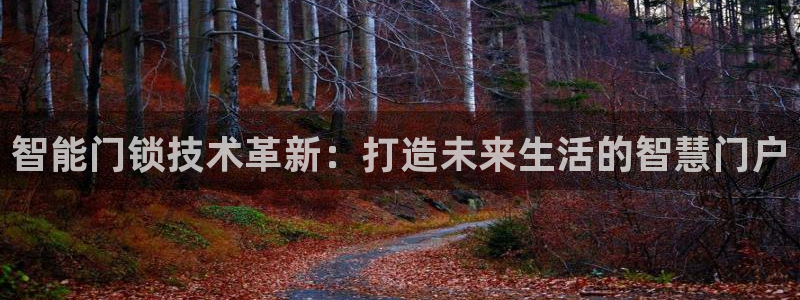 开丰娱乐登入地址在哪儿：智能门锁技术革新：打造未来生活的智慧