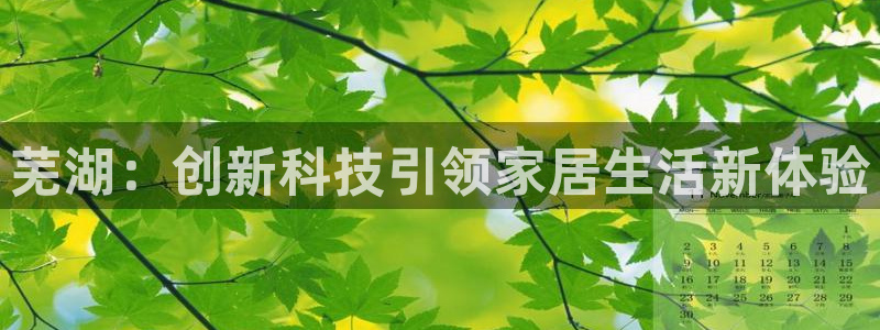开丰娱乐登入：芜湖：创新科技引领家居生活新体验
