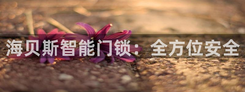 开丰娱乐平台地址在哪里