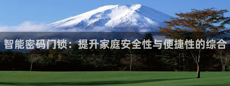 开丰娱乐寸六七五一38：智能密码门锁：提升家庭安全性与便捷性