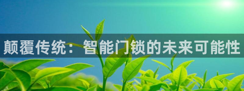 开丰娱乐官网最新消息：颠覆传统：智能门锁的未来可能性