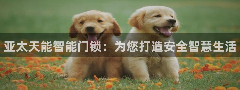 开丰娱乐官网电话：亚太天能智能门锁：为您打造安全智慧生活