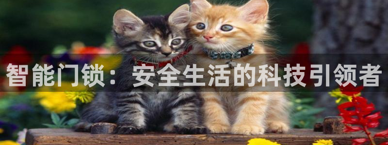 开丰娱乐寸六七五一38：智能门锁：安全生活的科技引领者