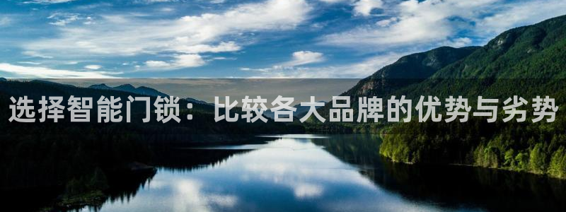 开丰娱乐登入地址在哪：选择智能门锁：比较各大品牌的优势与劣势