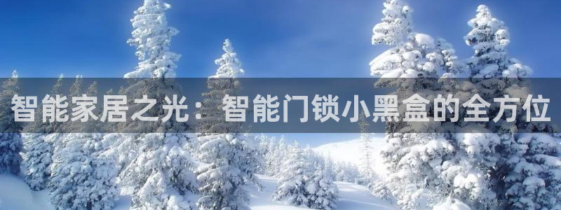 开丰娱乐优七九九47：智能家居之光：智能门锁小黑盒的全方位