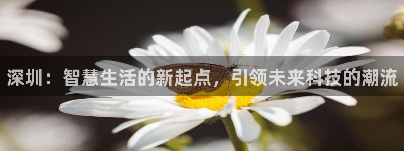 开丰娱乐网站官网下载：深圳：智慧生活的新起点，引领未来科技的