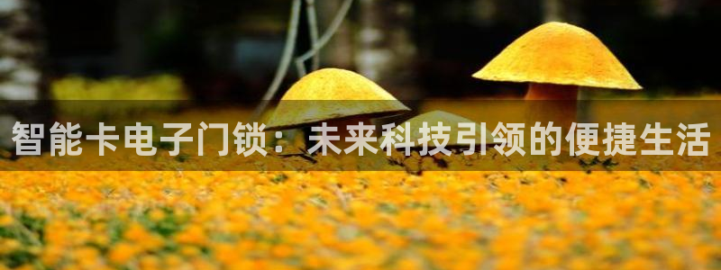 开丰娱乐地址查询：智能卡电子门锁：未来科技引领的便捷生活