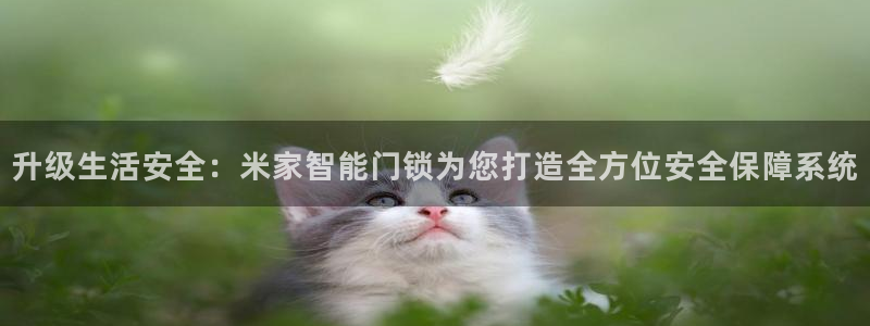 开丰娱乐平台地址电话：升级生活安全：米家智能门锁为您打造全方