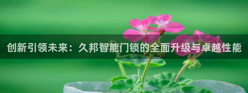 如何注册开丰娱乐账号：创新引领未来：久邦智能门锁的全面升级与