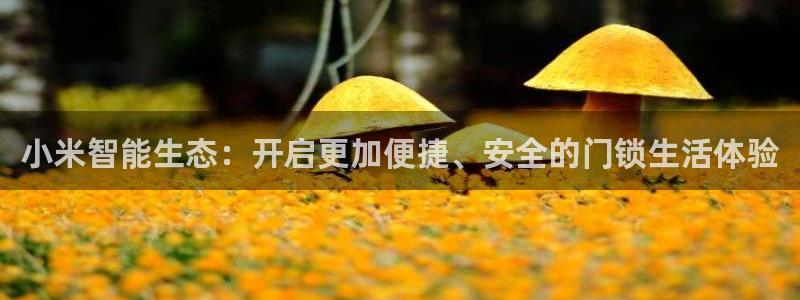 开丰娱乐注册登录：小米智能生态：开启更加便捷、安全的门锁生活