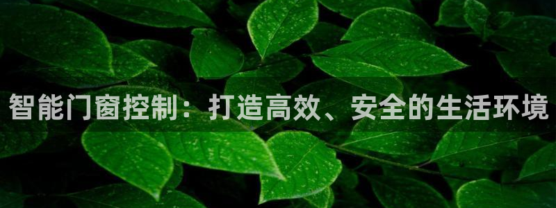 开丰娱乐：智能门窗控制：打造高效、安全的生活环境