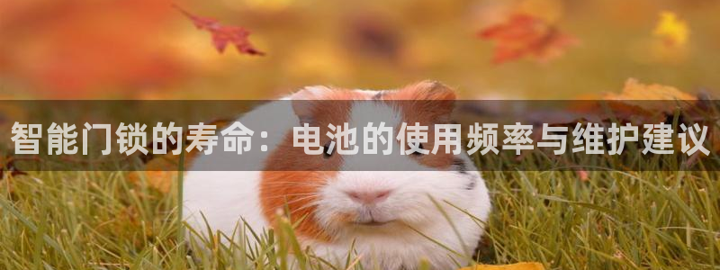 开丰娱乐注册登录：智能门锁的寿命：电池的使用频率与维护建议