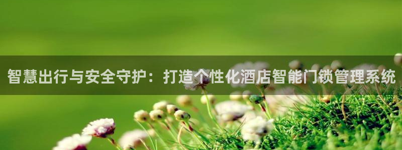 开丰娱乐注册：智慧出行与安全守护：打造个性化酒店智能门锁管理