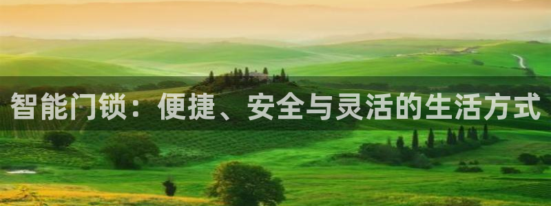 开丰娱乐平台官网登录：智能门锁：便捷、安全与灵活的生活方式