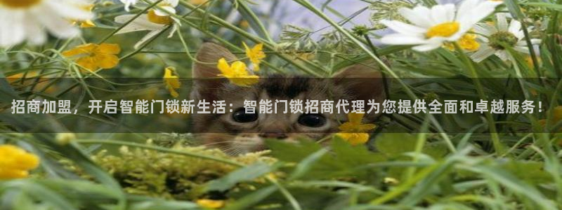 开丰娱乐趣 7O935：招商加盟，开启智能门锁新生活：智能门