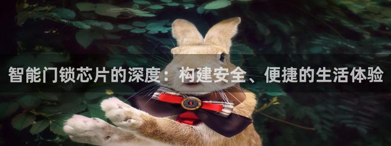 开丰娱乐联系q徽22212：智能门锁芯片的深度：构建安全、便