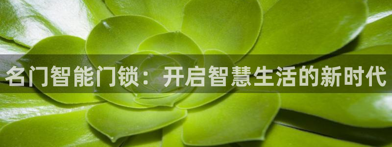 开丰娱乐登入地址：名门智能门锁：开启智慧生活的新时代