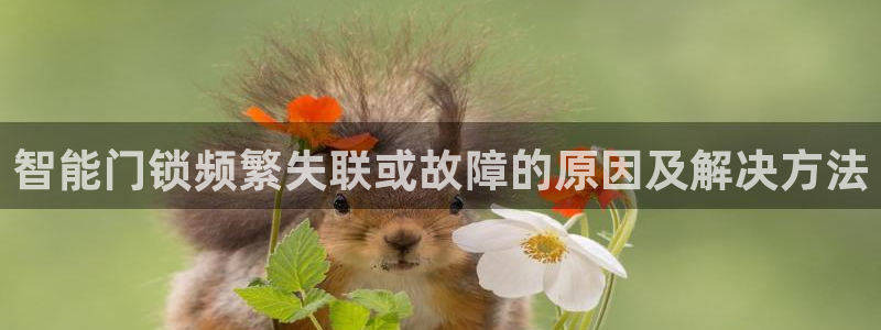 如何注册开丰娱乐账号：智能门锁频繁失联或故障的原因及解决方法