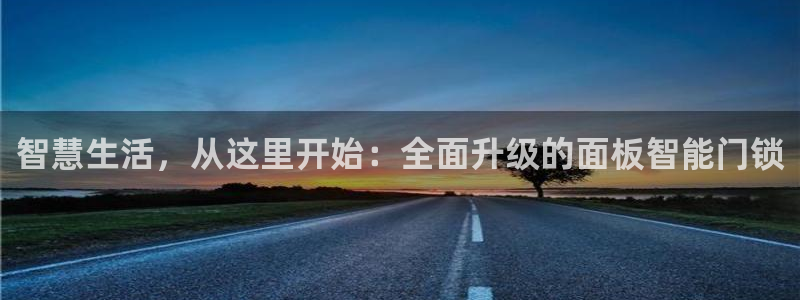 开丰娱乐天：智慧生活，从这里开始：全面升级的面板智能门锁