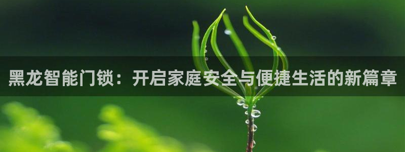 开丰娱乐平台登录：黑龙智能门锁：开启家庭安全与便捷生活的新篇